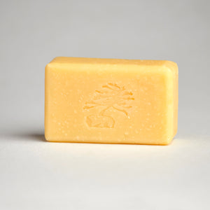 Enliven Bar Soap