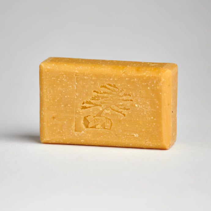 Pumpkin Bar Soap