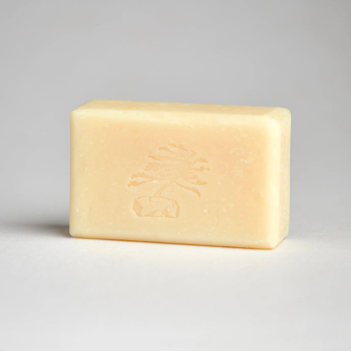 White Tea & Ginger Bar Soap