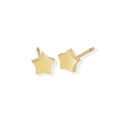 Star Polished Earrings