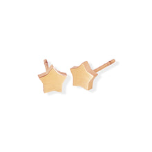 Star Polished Earrings