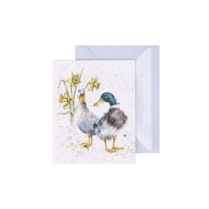 Duck and Daffs Enclosure Card